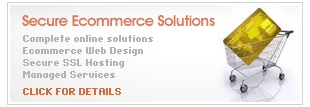 Secure Ecommerce Hosting, What can we offer you thats different.